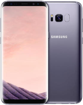 Samsung Galaxy S8+ grau Samsung Galaxy S8+ grau